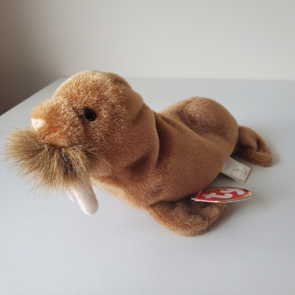 Original Beanie Baby | Paul the Walrus - Picture 1 of 11